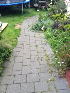 Before & After Photo's of Paved Path